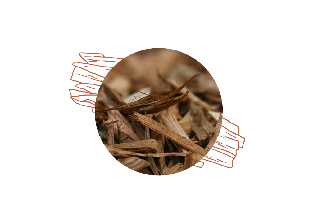Cedarwood organic essential oil