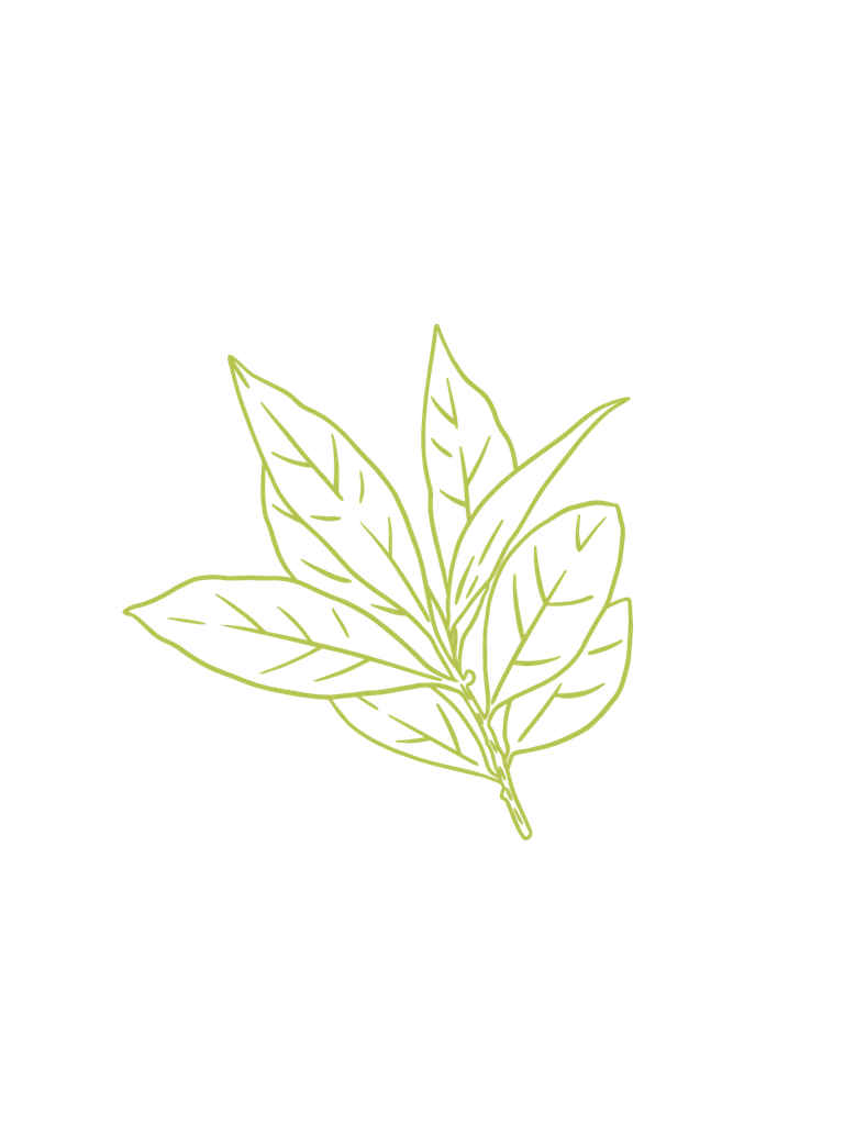 Bay Laurel organic essential oil