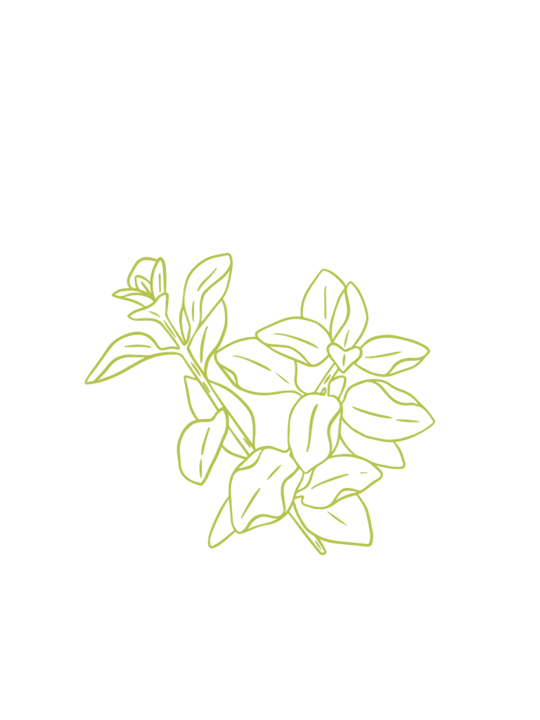 Oregano green Organic Essential oil