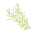 Rosemary Camphor conversion essential oil - France - au Kg