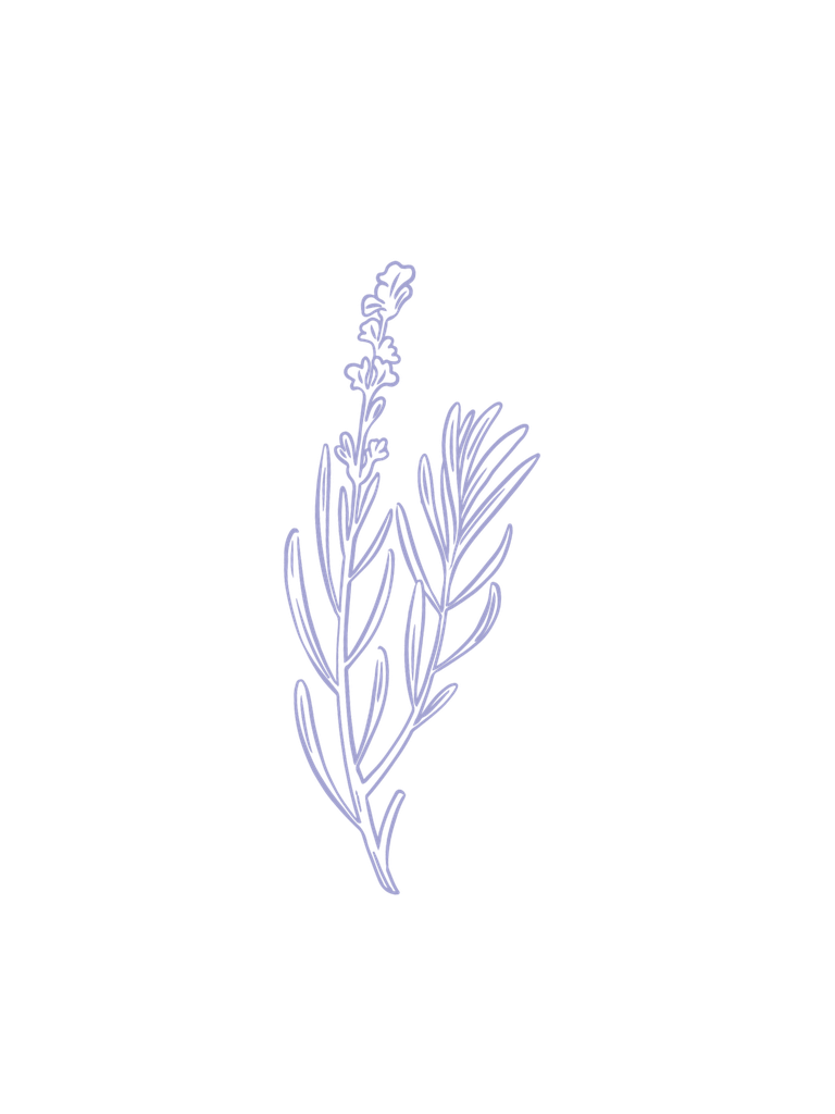 Spike Lavender organic essential oil