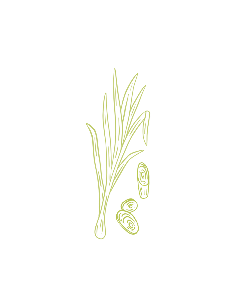 Java citronella organic essential oil