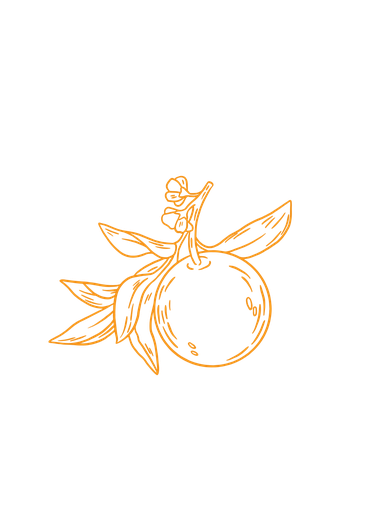 Mandarin Petitgrain organic essential oil