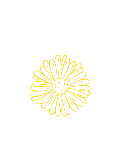 Roman Chamomile preserved organic hydrosol - France