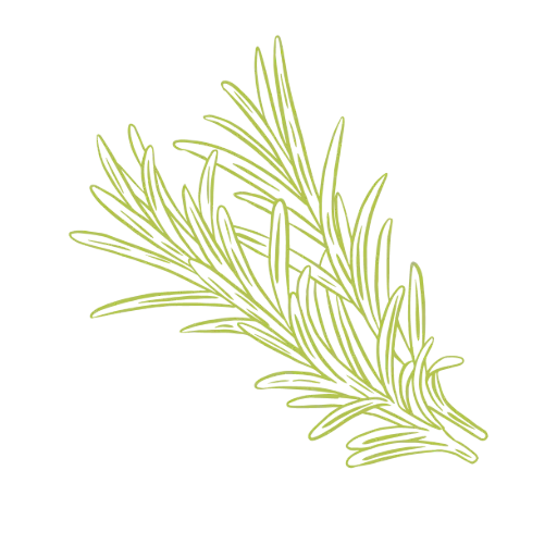 [PF_HERC_FRA_00000U] Rosemary Camphor conversion essential oil - France - au Kg